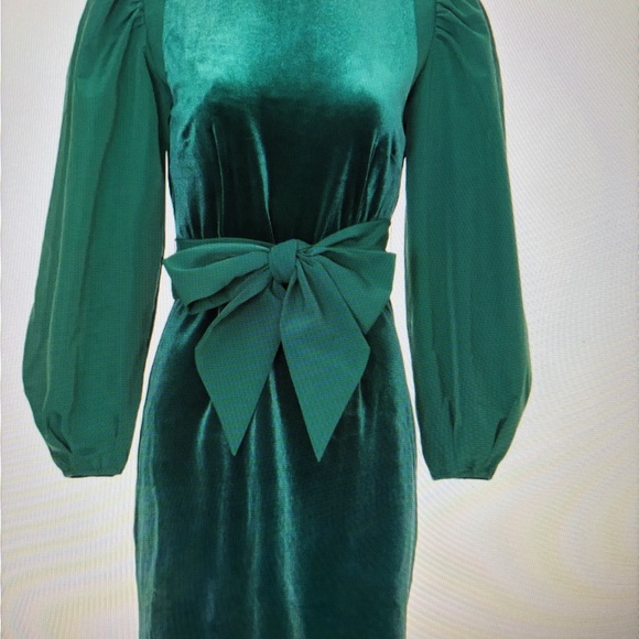 NWT LDT Velvet Tie Front Dress.  Size 12 - Picture 4 of 4